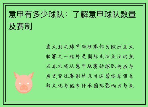 意甲有多少球队：了解意甲球队数量及赛制