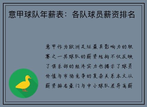 意甲球队年薪表：各队球员薪资排名